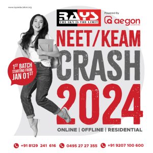 crash 2024-1